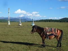 Françoise et Alain - Circuit au Yunnan - Septembre 2014 (12 jours)